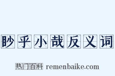 眇乎小哉反义词是什么意思的图片